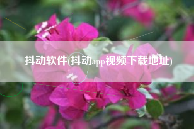 抖动软件(抖动app视频下载地址)