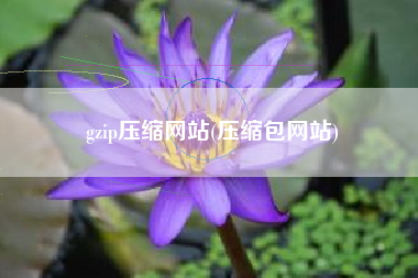 gzip压缩网站(压缩包网站)