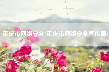 重庆市网络安全(重庆市网络安全宣传周)
