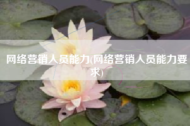 网络营销人员能力(网络营销人员能力要求)