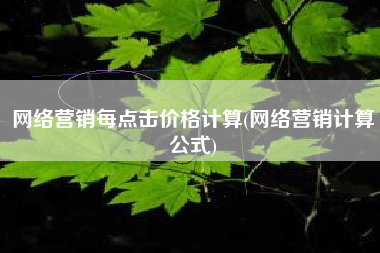 网络营销每点击价格计算(网络营销计算公式)