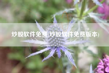 炒股软件免费(炒股软件免费版本)