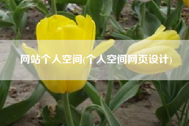 网站个人空间(个人空间网页设计)