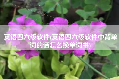 英语四六级软件(英语四六级软件中背单词的话怎么换单词书)