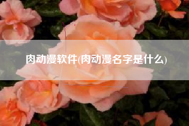 肉动漫软件(肉动漫名字是什么)