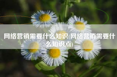 网络营销需要什么知识(网络营销需要什么知识点)