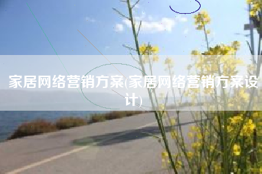 家居网络营销方案(家居网络营销方案设计)
