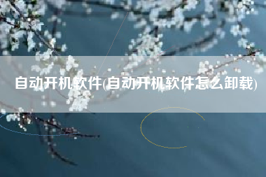 自动开机软件(自动开机软件怎么卸载)
