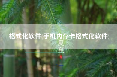 格式化软件(手机内存卡格式化软件)