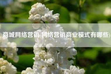 商城网络营销(网络营销商业模式有哪些)