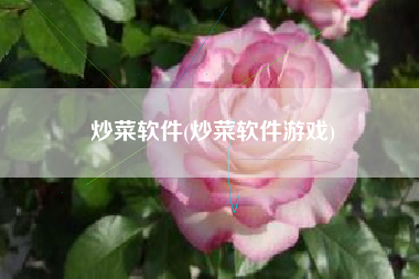 炒菜软件(炒菜软件游戏)