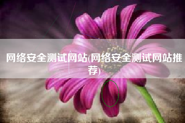 网络安全测试网站(网络安全测试网站推荐)