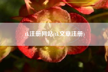 tk注册网站(tk文章注册)