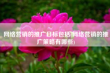 网络营销的推广目标包括(网络营销的推广策略有哪些)