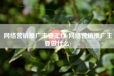 网络营销推广主要工作(网络营销推广主要做什么)