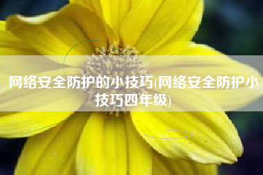 网络安全防护的小技巧(网络安全防护小技巧四年级)