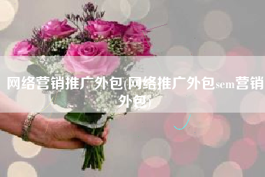 网络营销推广外包(网络推广外包sem营销外包)