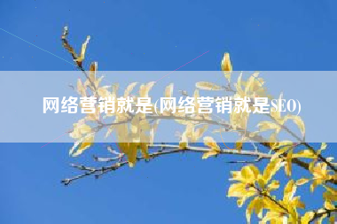 网络营销就是(网络营销就是SEO)