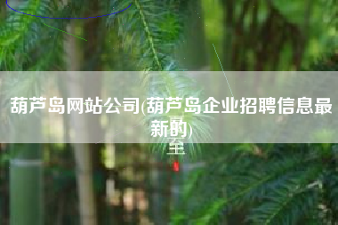 葫芦岛网站公司(葫芦岛企业招聘信息最新的)