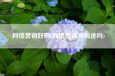 网络营销好吗(网络营销有前途吗)