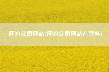 好的公司网站(好的公司网站有哪些)
