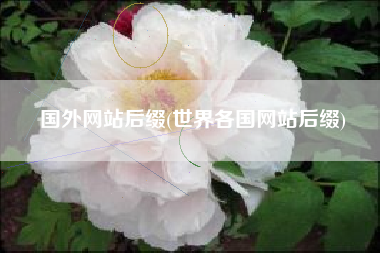 国外网站后缀(世界各国网站后缀)