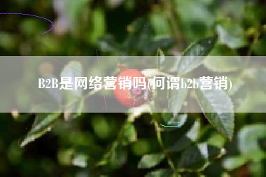 B2B是网络营销吗(何谓b2b营销)
