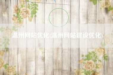 温州网站优化(温州网站建设优化)