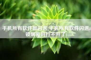 手机所有软件都闪退(手机所有软件闪退,锁屏密码打不开了)