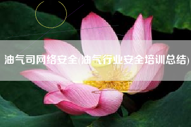 油气司网络安全(油气行业安全培训总结)