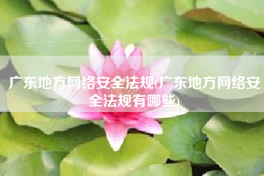 广东地方网络安全法规(广东地方网络安全法规有哪些)