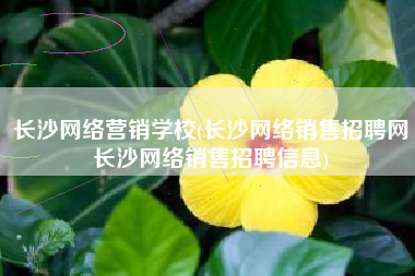 长沙网络营销学校(长沙网络销售招聘网长沙网络销售招聘信息)