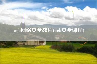 web网络安全教程(web安全课程)