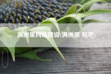 满洲里网站建设(满洲里 贴吧)