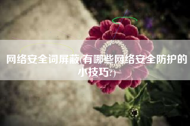 网络安全词屏蔽(有哪些网络安全防护的小技巧?)