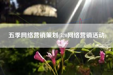 五季网络营销策划(520网络营销活动)
