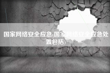 国家网络安全应急(国家网络安全应急处置包括)