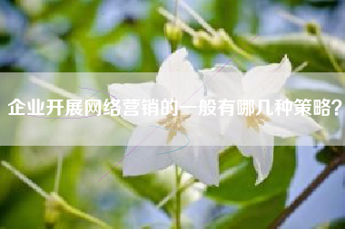 企业开展网络营销的一般有哪几种策略？