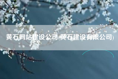 黄石网站建设公司(黄石建设有限公司)