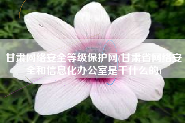 甘肃网络安全等级保护网(甘肃省网络安全和信息化办公室是干什么的)