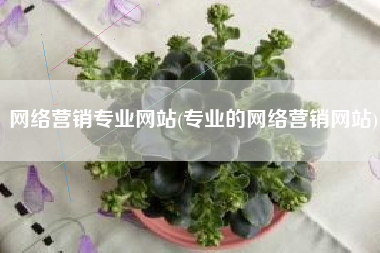 网络营销专业网站(专业的网络营销网站)