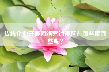 传统企业开展网络营销误区有哪些呢哪些呢？