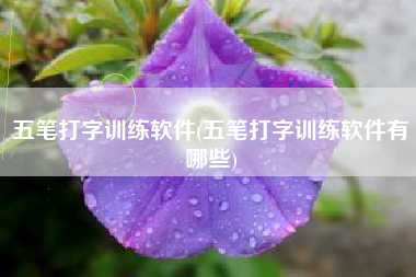 五笔打字训练软件(五笔打字训练软件有哪些)