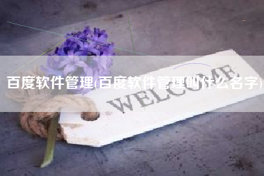 百度软件管理(百度软件管理叫什么名字)