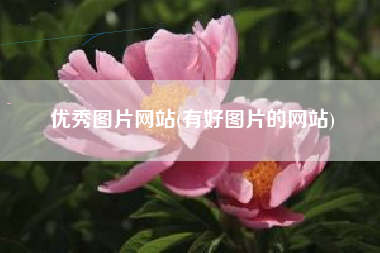 优秀图片网站(有好图片的网站)
