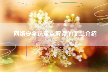 网络安全法重点解读的简单介绍