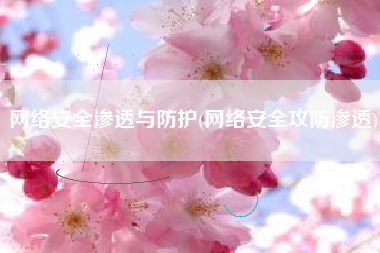 网络安全渗透与防护(网络安全攻防渗透)