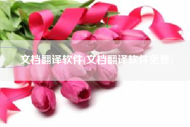 文档翻译软件(文档翻译软件免费)