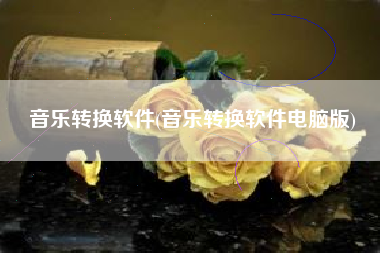 音乐转换软件(音乐转换软件电脑版)