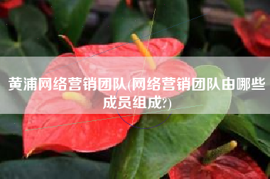 黄浦网络营销团队(网络营销团队由哪些成员组成?)